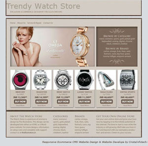 Responsive Dynamic Website <strong>Design</strong> &amp; Website Development WordPress Theme Template <strong>and</strong> Plugin Designer <strong>and</strong> Developer Software - Product Image 2