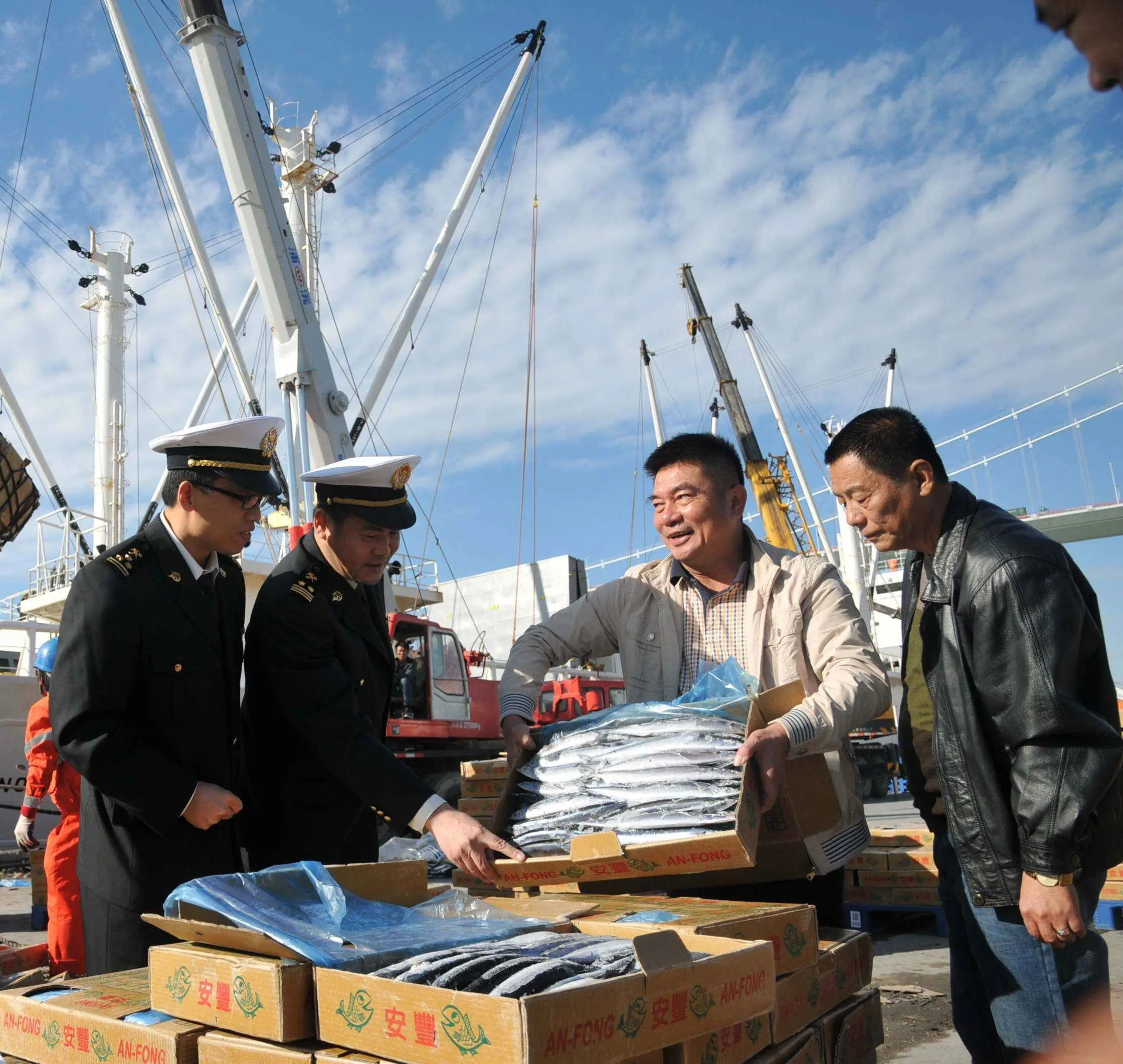 Export-Zollmakler Containeragentur in Shanghai