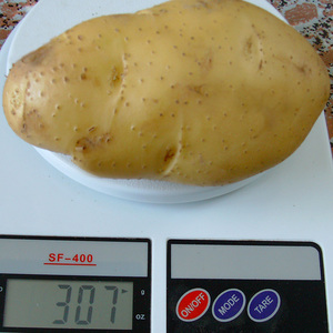 Prices <strong>Potato</strong>