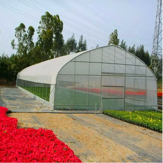 Hydroponic system greenhouse for tomato single-span pe film Greenhouse for vegetables  Low cost 8x30m