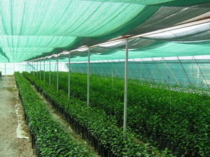 PARASOLE NETTO OUTDOOR RESISTENTE RETE OMBRA - Product Image 2