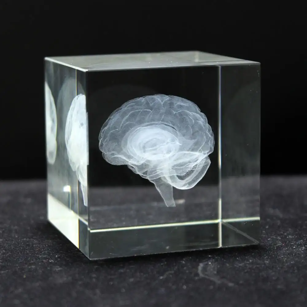 Nova ideia 3d cérebro de cristal hospital lembrança para médico