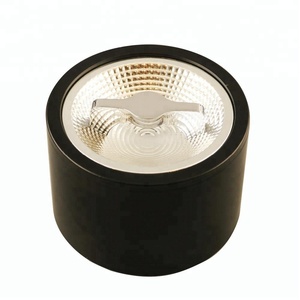 Indoor Aluminum Surface Mounted Down <strong>Light</strong> 15W AR111 DOWN <strong>LIGHT</strong>