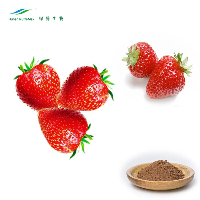 100% Natural Extract Strawberry Fruit Juice Powder
