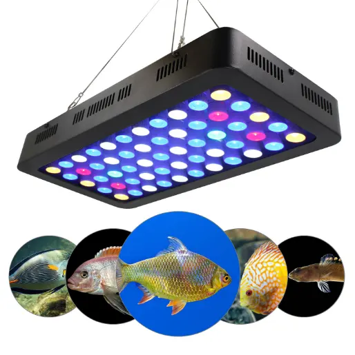 Nuovo disegno del fornitore Della Cina 165W smartControl HA CONDOTTO Le Luci Dell'acquario per la Barriera Corallina Carro Armato di Pesci con dimmerabile spettro completo barriera corallina luce