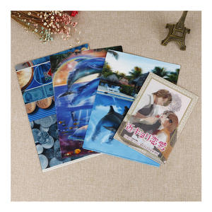 Tùy chỉnh thư mục A4 loại thư mục hiển thị cuốn sách PP L hình dạng nhựa thư mục tập tin - Product Image 5