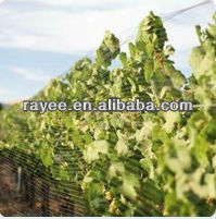 Koruma bitkileri bahçe Net anti-kuş ağı - Product Image 3