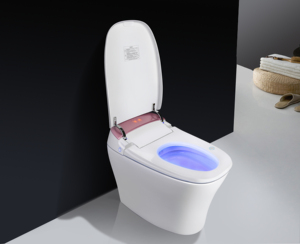 High Quality Wholesale M89 Smart Automatic <strong>Toilet</strong> Bathroom <strong>Special</strong> Smart <strong>Toilets</strong>