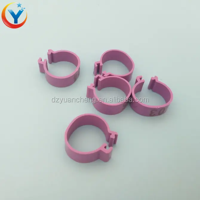 Anillos de clip para pájaros, anillo de banda para pies de pájaros, anillo de plástico para palomas y aves de corral, bandas para patas de pollo, etiquetas adhesivas