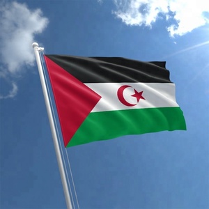 Custom 100% Polyester Western <strong>Sahara</strong> National Country Flag for Travel Agency Use - Product Image 1