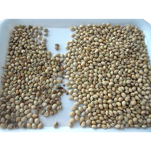 WESORT, superventas, productos de tamaño pequeño y mediano, máquina clasificadora de granos, máquina clasificadora de granos de cacao, máquina clasificadora de granos - Product Image 5