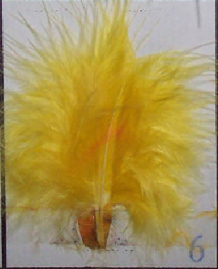 Jaune