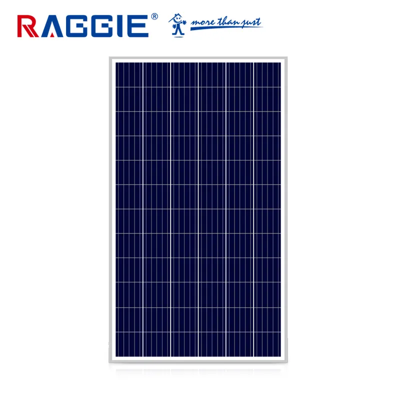 RAGGIE 5บัสบาร์เซลล์แสงอาทิตย์โพลี300วัตต์แผงเซลล์แสงอาทิตย์สำหรับระบบพลังงานแสงอาทิตย์