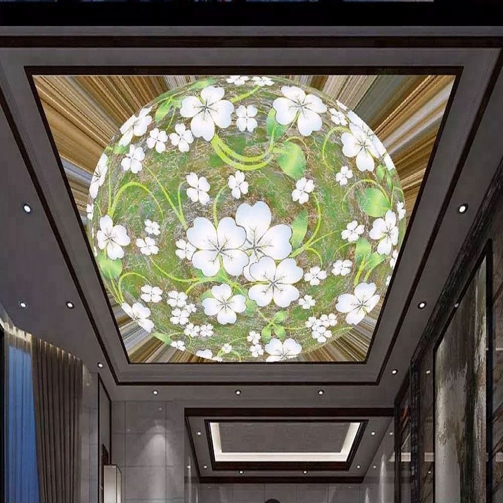 Film de plafond tendu 3D 05
