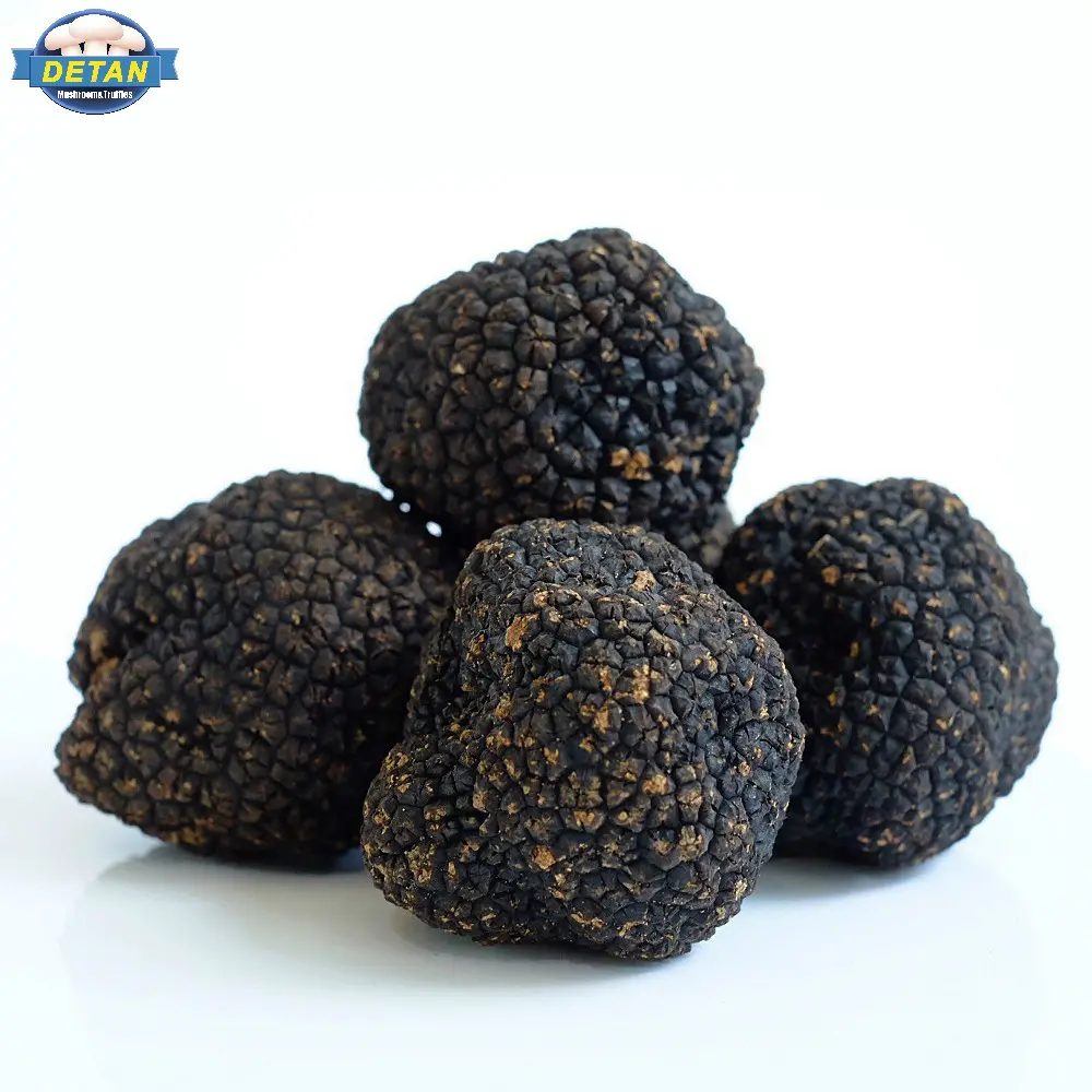 Detan fresco selvagem preto china truffles