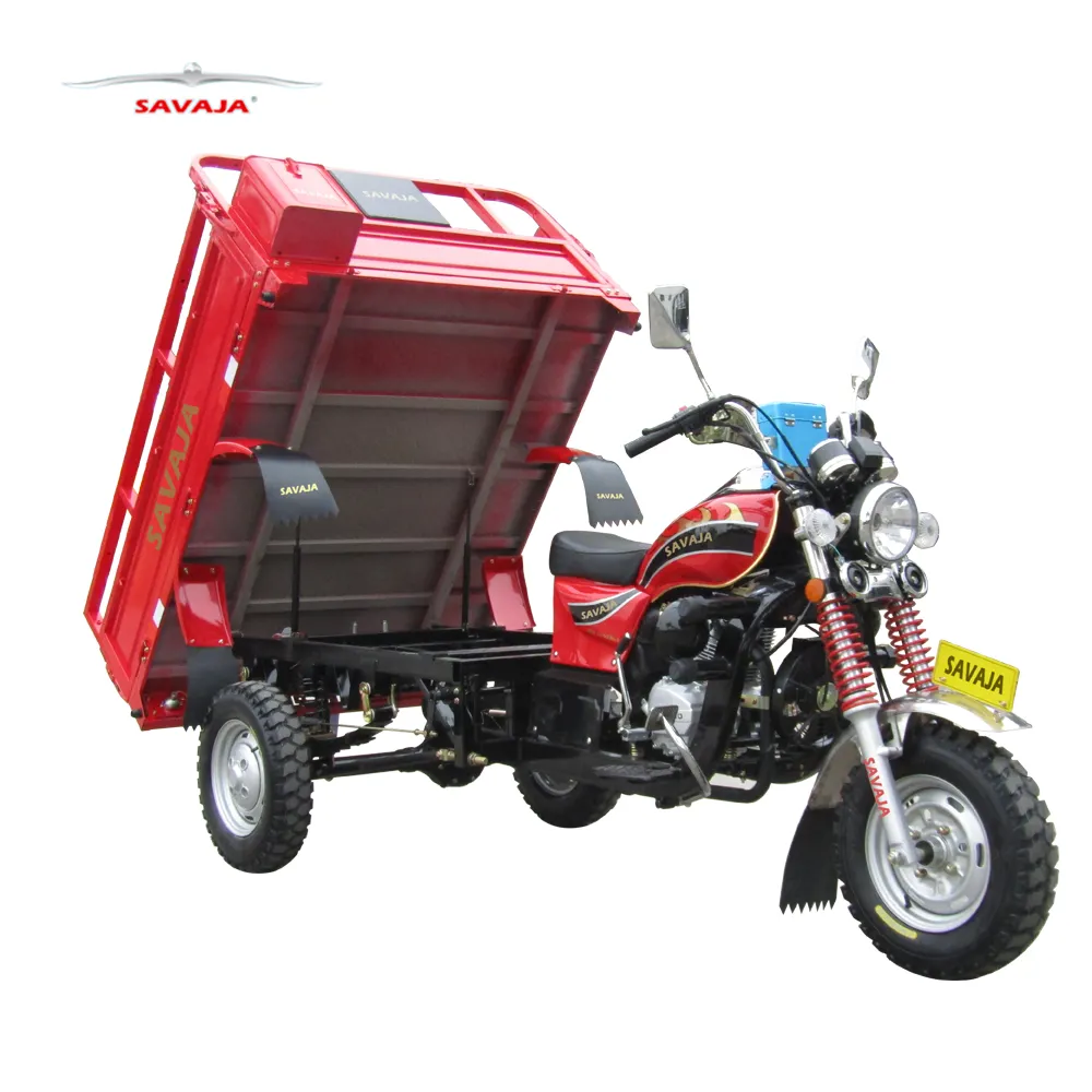 DAYUN FEKON LIFAN LOCIN TRICYCLE MOTO À TROIS ROUES 150CC 200CC SAVAJA SJ150-ZH-4 T004