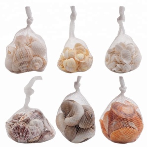 Single <strong>Shells</strong> or Assorted Sea <strong>Shells</strong> Natural Packed in Net Bag or Kraft Box 350g / Pc, 400g/ Pc - Product Image 3