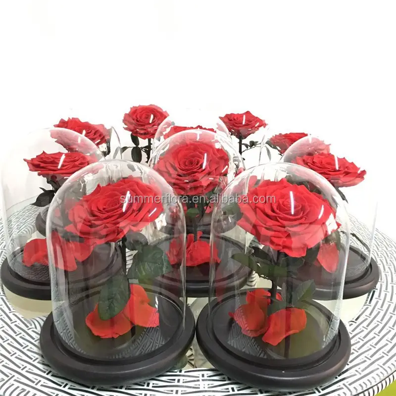 Оптовая продажа, долговечная Роза для украшения вечеринки, уникальные сохраненные цветки розы в стеклянном куполе
