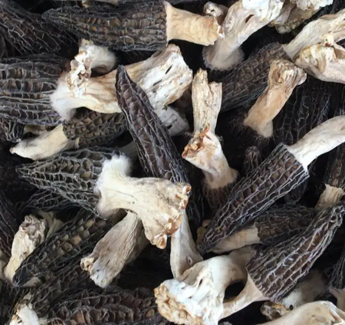 Yang Du Jun Großhandel ganze Morchella Deliciosa Pilze für Lebensmittel