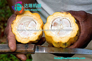 Fresco vaina de cacao máquina de separación/Cacao de recogida de la máquina - Product Image 5