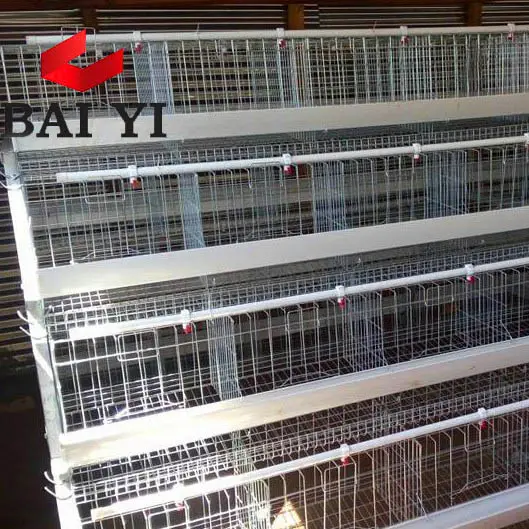Népal Couche Cages De Batterie De Poulet Pour 10000 Oiseaux mise en Page de Conception De Ferme de Volaille