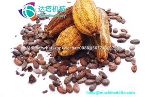 สดโกโก้ Pod Thresher/สดโกโก้ Pod Dehusk - Product Image 6