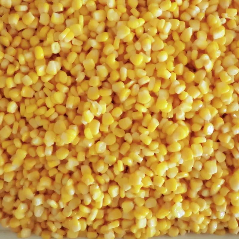 China, nuevo cultivo de maíz dulce enlatado vacío embalado en latas de maíz dulce puede 2650ml
