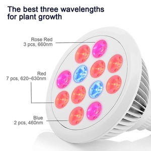 หลอดไฟ Led 24W Led Grow Light เต็มสเปกตรัมพร้อมใช้งาน,ระบบปลูกดอกไม้เติบโตแสง E27 Led เติบโตแสง - Product Image 5