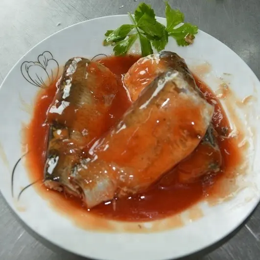 HELAL onaylı konserve sardalya balık