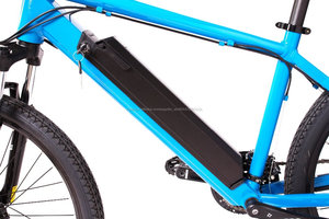 Changzhou Yunshine, St Bernard 8fun 250 watt motor programmierbare steuerung elektrische fahrrad