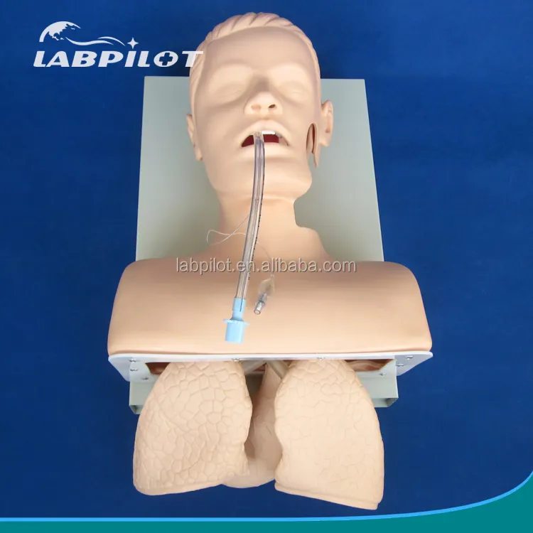 Modelo de treinamento de intubação tracheal eletrônico com pulmão inflável, tubo de ng e simulador de sucção