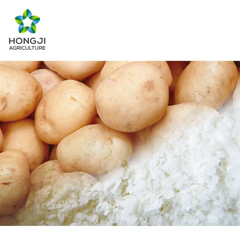 Hongji Agriculture Kartoffel püree für Kartoffel chips Kartoffel flocken