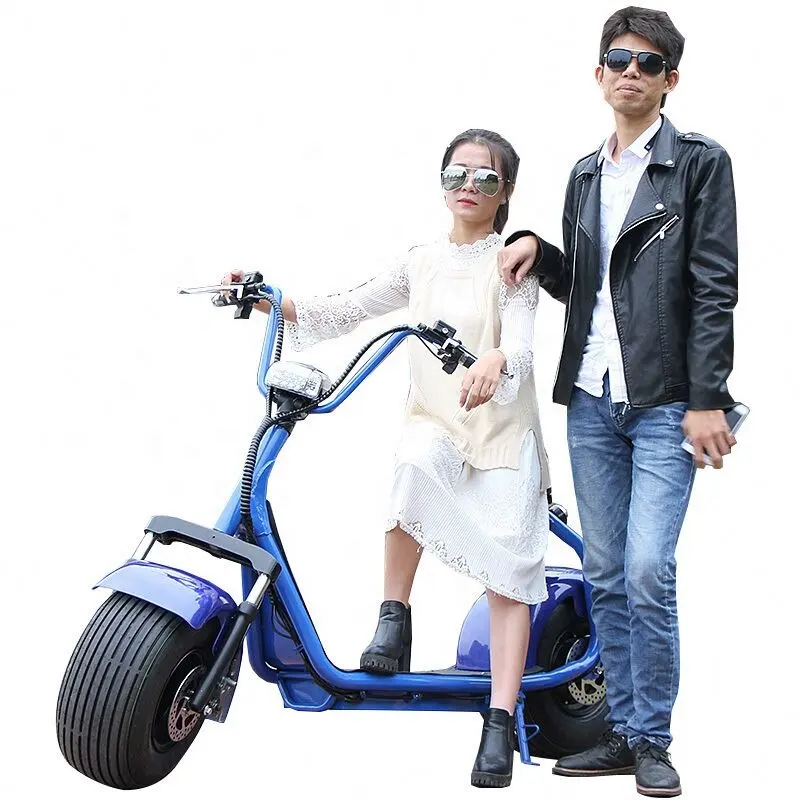 Holland Magazzino Freddo Scooter Elettrico Citycoco Con Gas