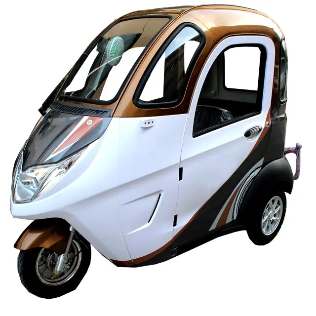 2018 New 800W Motor 3 Wheels with Cabine Enclosed Trike