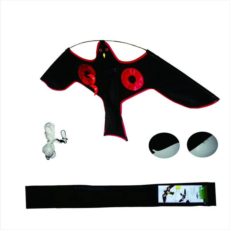 Red-eyed scare bird kite (single kite)