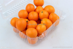 Fresh <strong>Kumquat</strong> - Product Image 5