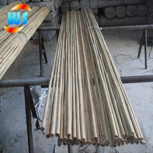 竹棍竹竿供花园用长竹供 - Product Image 1