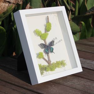 Großhandel Custom Wood Australia Deep Square Shadow Box Frames Bulk 3d weiß schwarz Foto rahmen