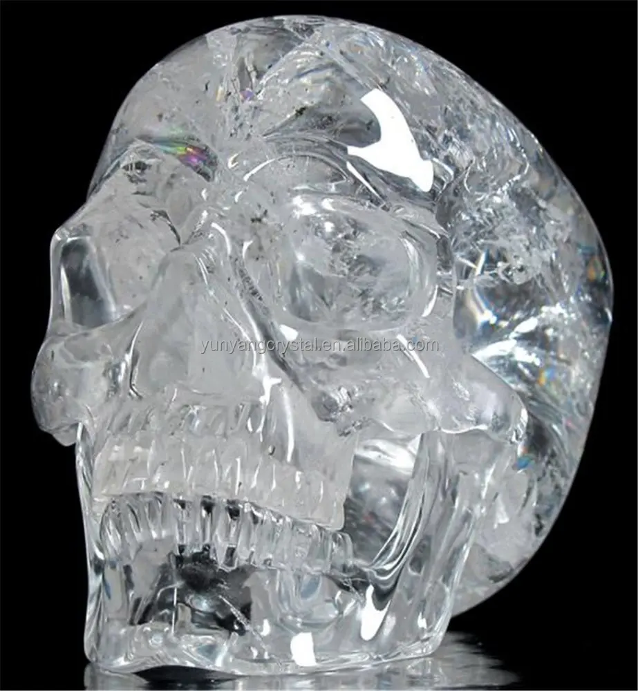 Calavera de cristal transparente hecha a mano con barbilla en vivo