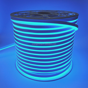 ספק מפעל המחיר הטוב ביותר 24 v rgb led ניאון flex אורות