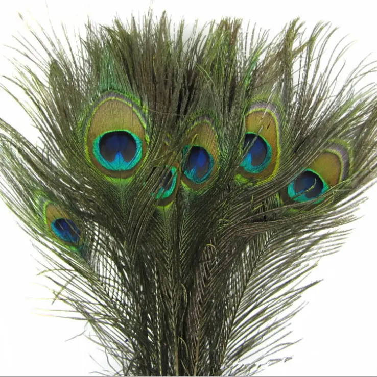 Pluma de pavo real barata de alta calidad, 25-120cm, venta al por mayor