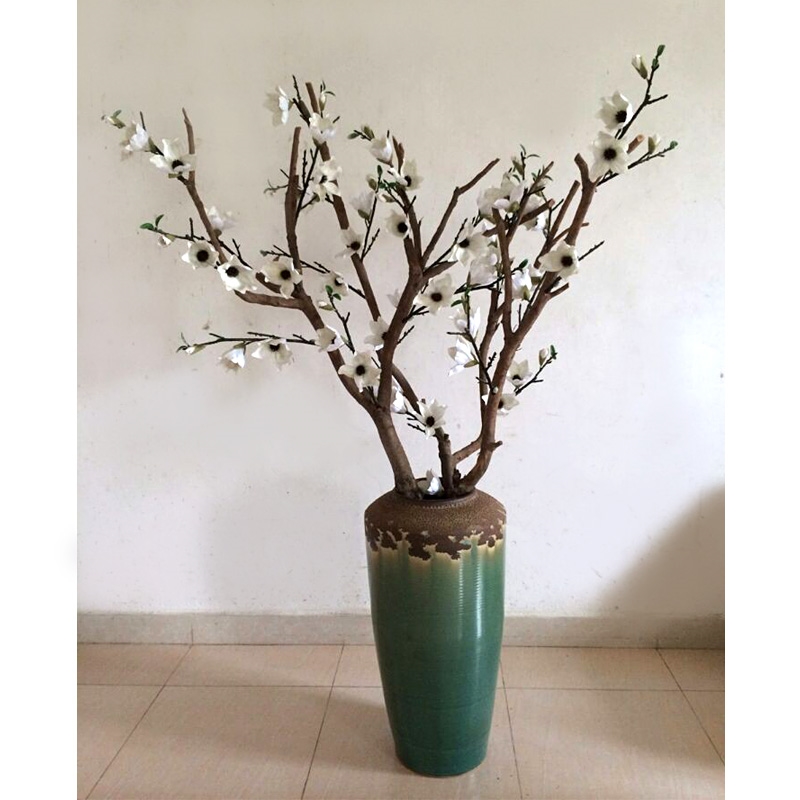 Arbre magnolia