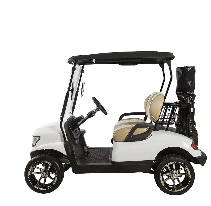 Voiturette de golf électrique à 2 sièges, nouveau modèle, buggy avec porte-boules, voiture tout terrain, golf, club, 2020