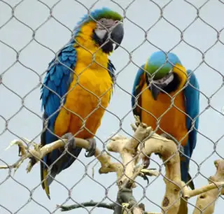 Parrot Menunjukkan Perlindungan Tali Kawat Mesh/Kandang Burung Beo Netting/Macaw Parrot Pagar Kelambu