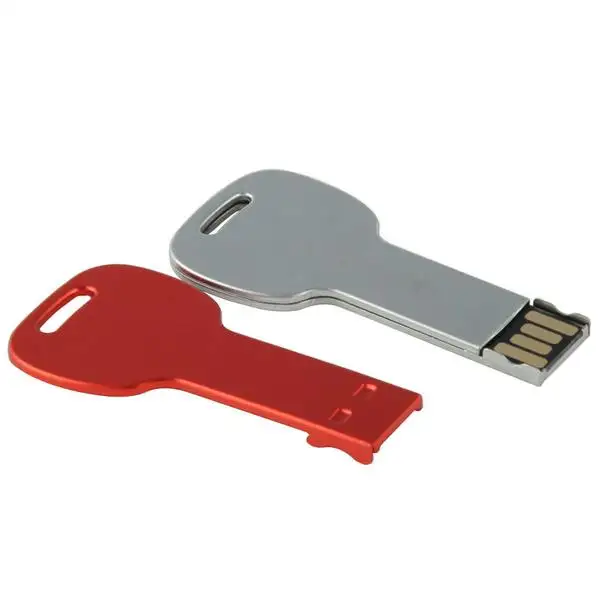 En iyi satmak Anahtar USB Metal usb flash sürücü usb flash sürücü