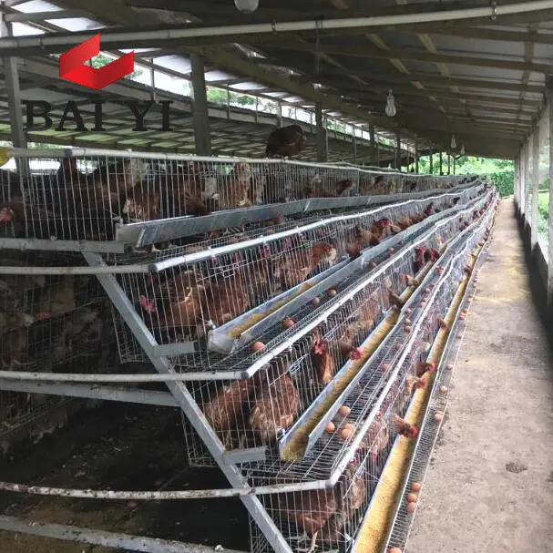 A3-96 de aves de corral automática capa de pollo huevo jaula para la venta en Filipinas y Nigeria