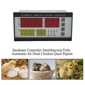 110V Digital <strong>Temperature</strong> Humidity Thermostat <strong>Automatic</strong> XM-18 Incubator <strong>Controller</strong> with OEM and ODM Support - Product Image 6