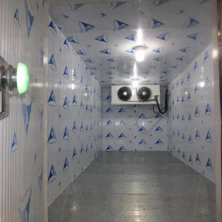 40 Feet 20feet Cold Room Containers with Lowest Price for Fish Meat Fruit Vegetable