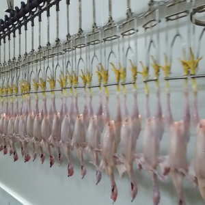 Halal Poultry Abattoir System Parts Slaughterhouse Processing Conveyor Line Shackles for <strong>Chicken</strong> Hanging Feet - Product Image 2