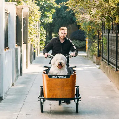 Vélo électrique bon marché, vélo Cargo, remorque pour chien